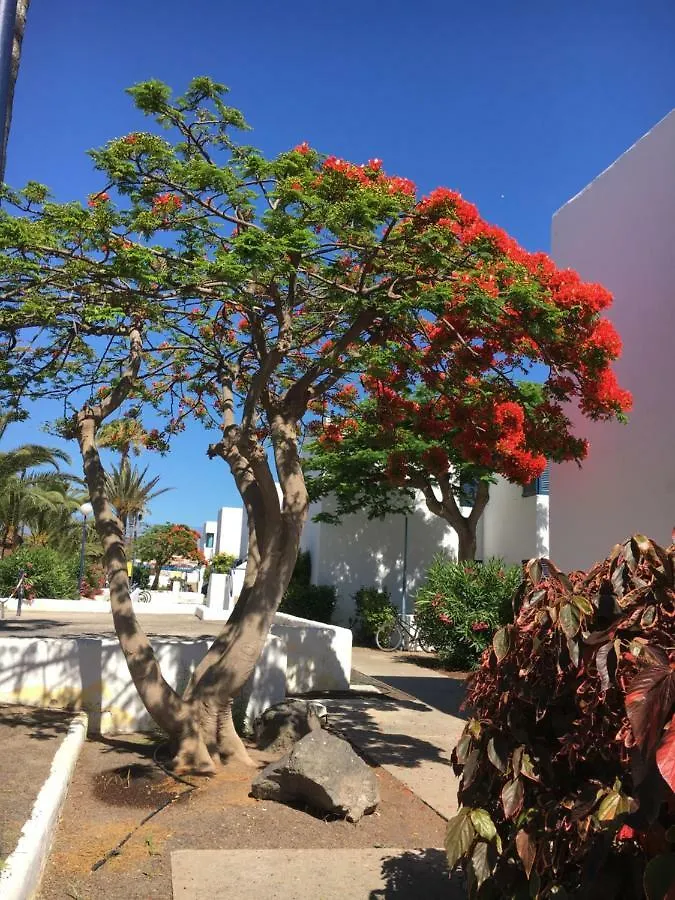 Los Barqueros Corralejo 